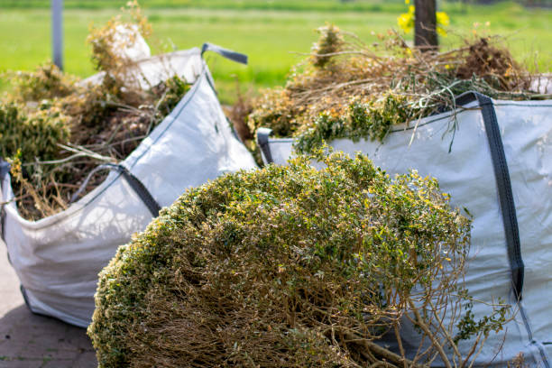 Best Electronics Removal Services  in Lincolnshire, IL